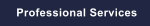 Professional Services
